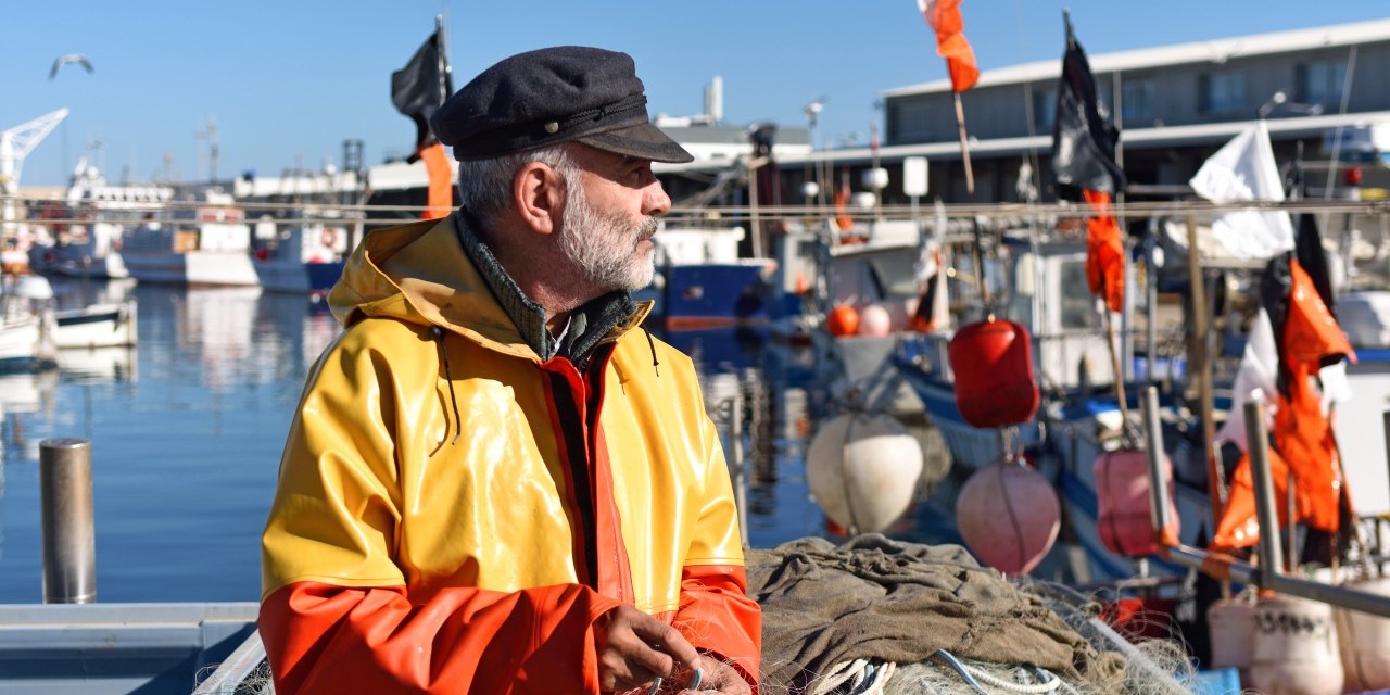 Des plateaux de fruits de mer délicieux